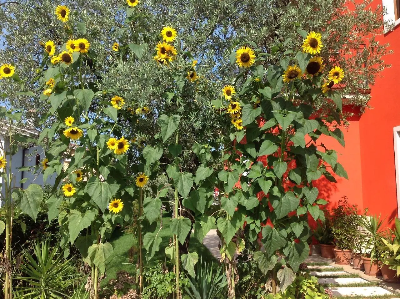 G&G Bed&Breakfast And Apartments Garda  Garda (Verona)